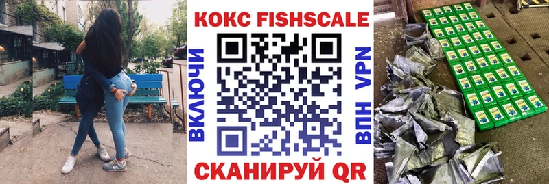 купить наркотики цена  Сычёвка  MEGA ONION  Cocaine Эквадор 